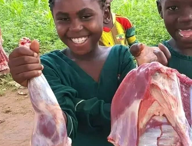 Qurban Activities