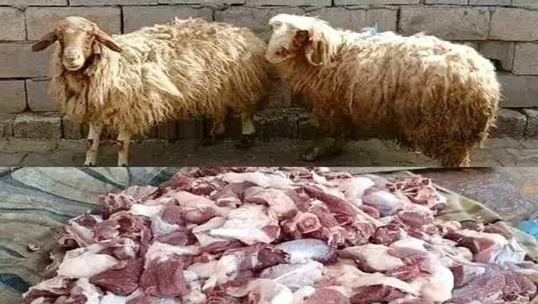 🐐 Qurban & Seasonal Giving